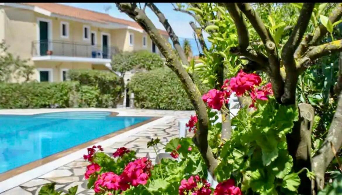 Lemon Tree Apartments A D Argostoli  Exterior photo